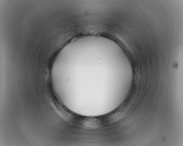 X0000091300459200709071057