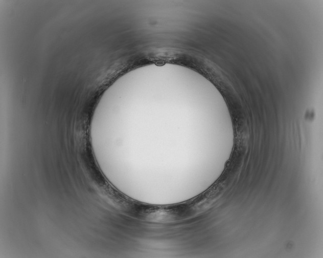 X0000091300460200709071057