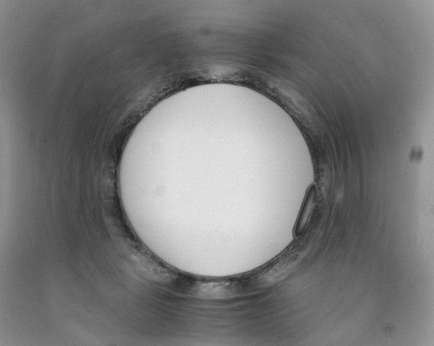 X0000091300461200709071057