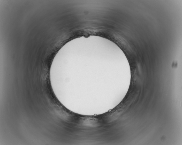 X0000091300463200709071057