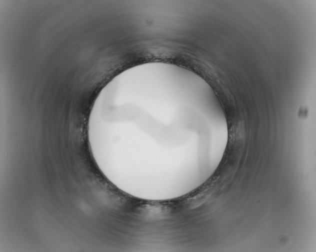 X0000091300464200709071057