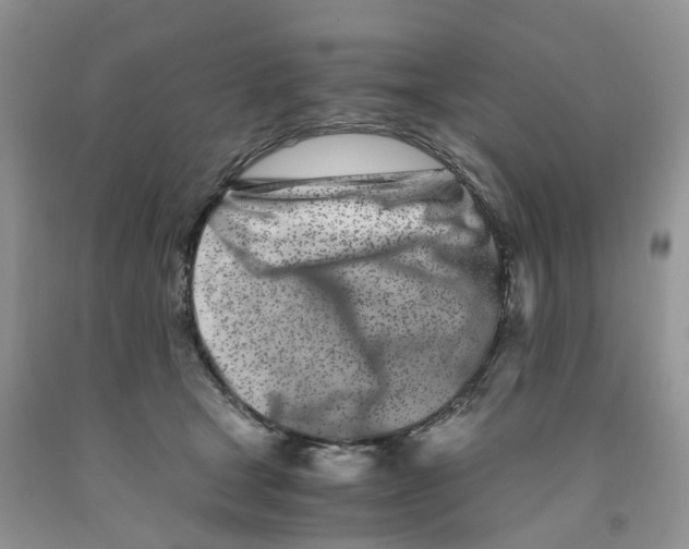 X0000091300465200709071057