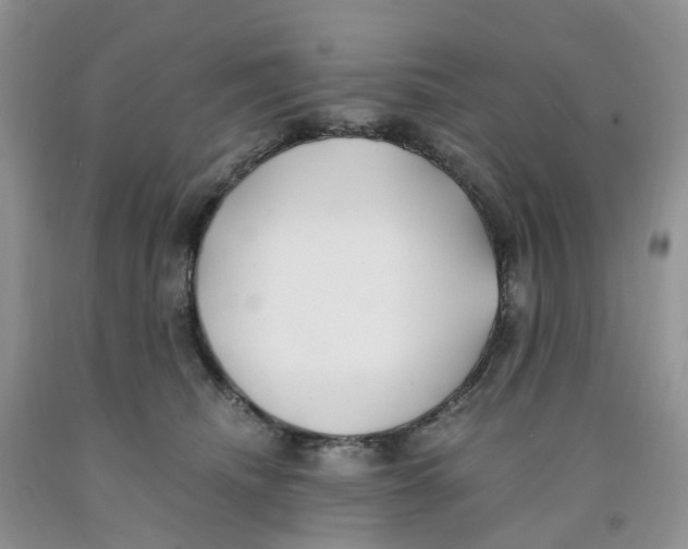 X0000091300468200709071057