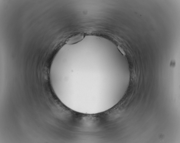 X0000091300470200709071057