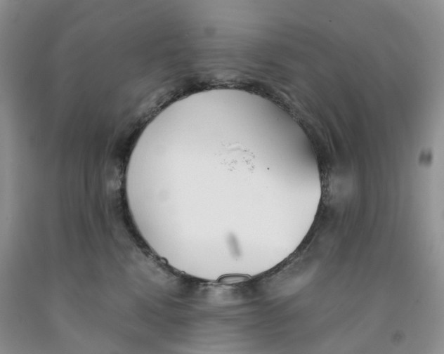 X0000091300472200709071057