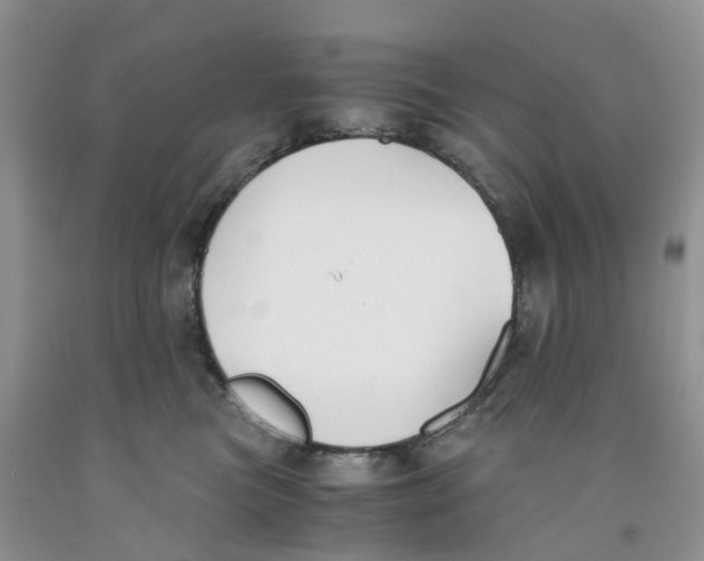 X0000091300473200709071057