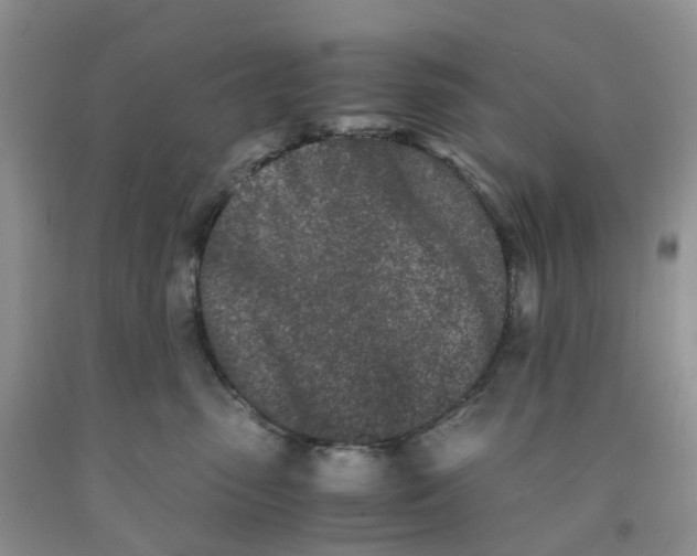 X0000091300475200709071057