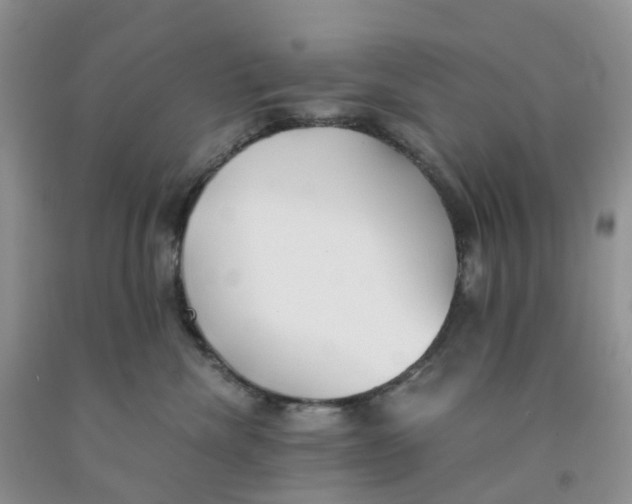 X0000091300476200709071057