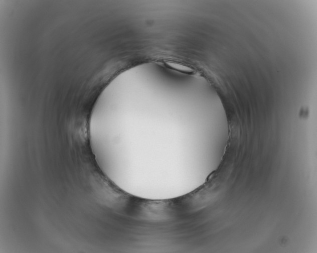 X0000091300479200709071057