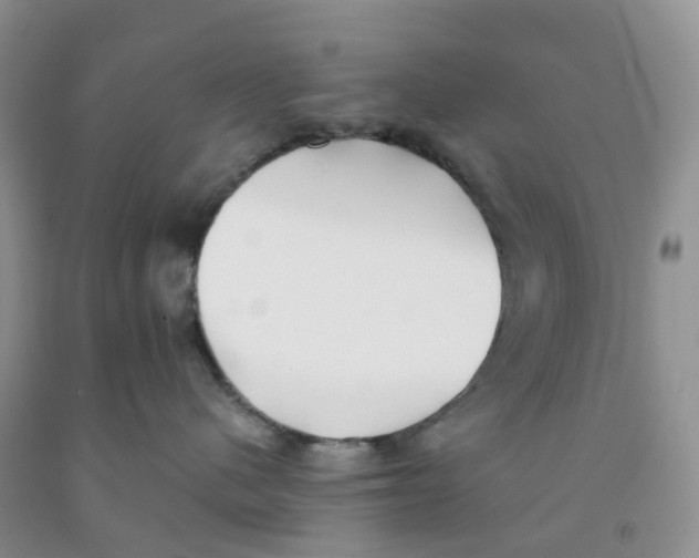 X0000091300480200709071057