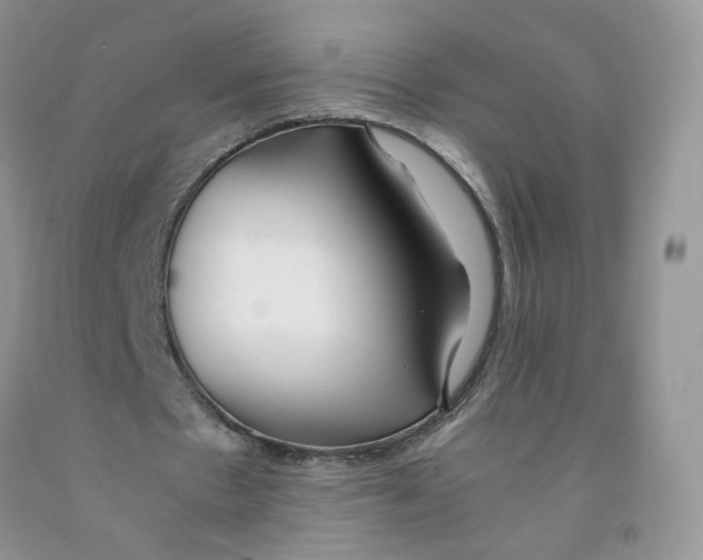 X0000091300481200709071056