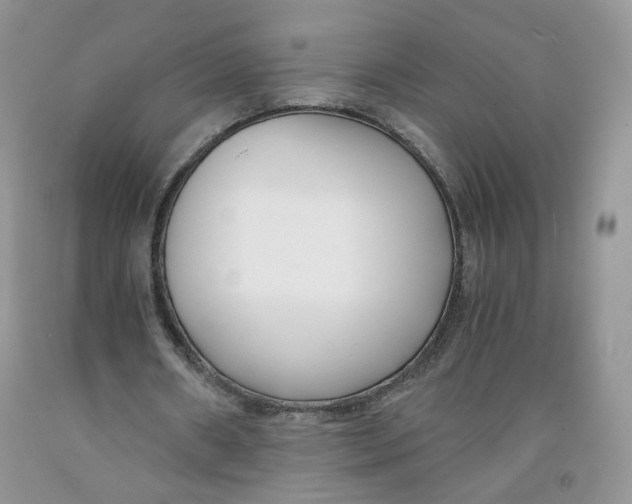 X0000091300482200709071056