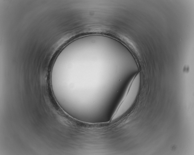 X0000091300483200709071056