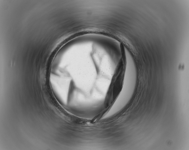 X0000091300484200709071056