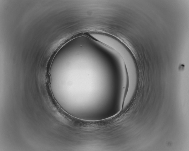 X0000091300485200709071056