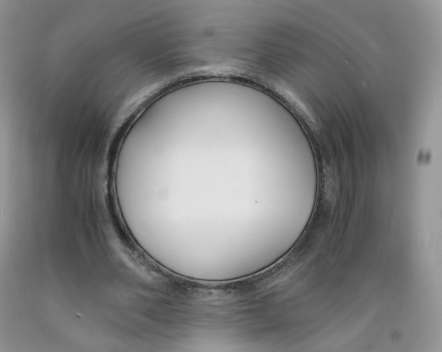 X0000091300486200709071056