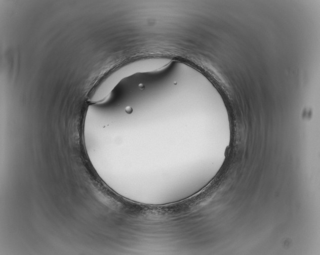 X0000091300489200709071056