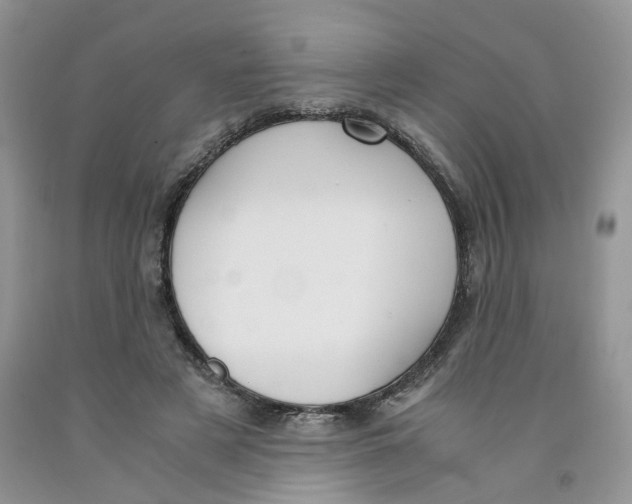 X0000091300497200709071056