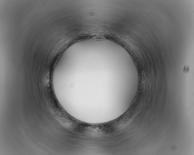 X0000091300502200709071056