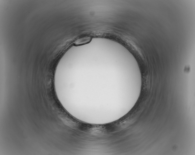 X0000091300505200709071056