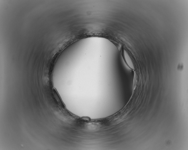 X0000091300508200709071056