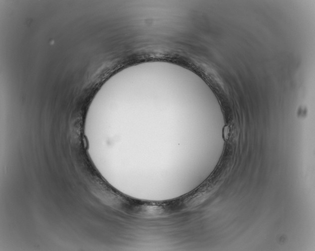 X0000091300509200709071056