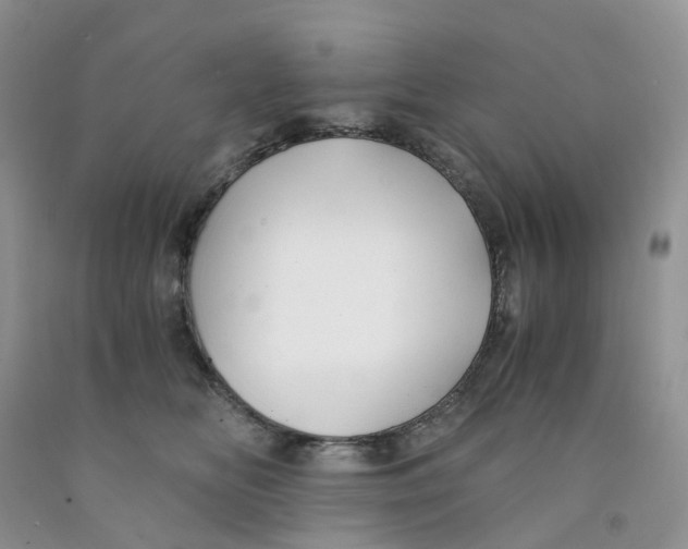 X0000091300518200709071056