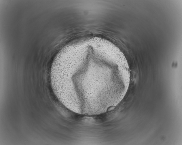 X0000091300519200709071056