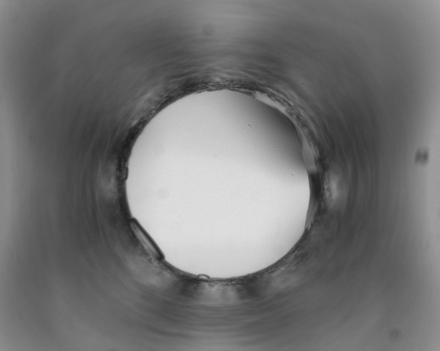 X0000091300520200709071056