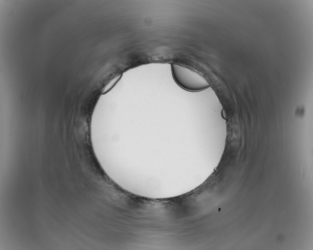 X0000091300523200709071056