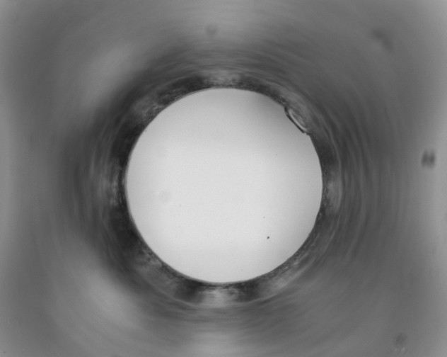 X0000091300525200709071056