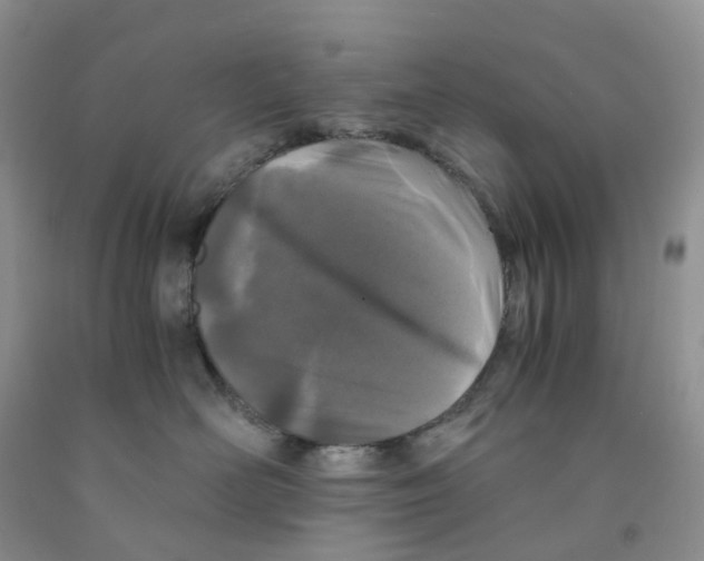 X0000091300526200709071056