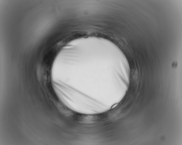 X0000091300527200709071056