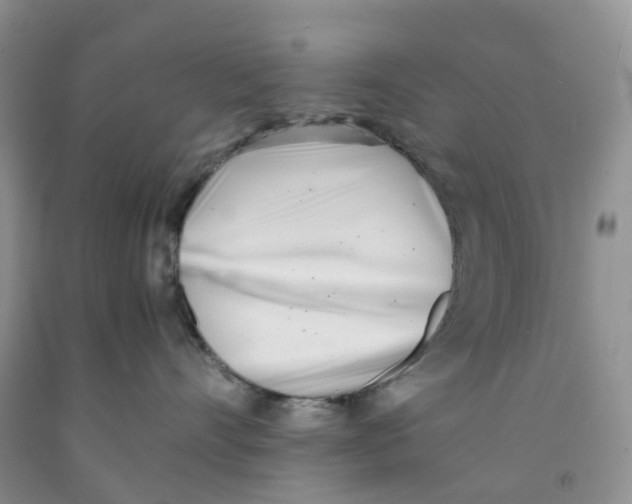 X0000091300528200709071056