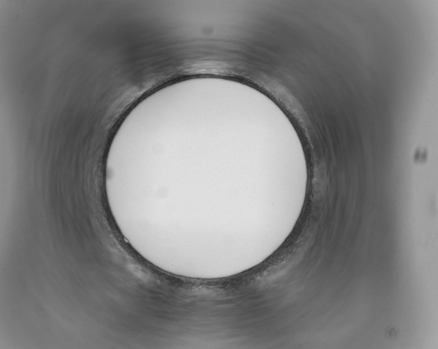 X0000091300529200709071055