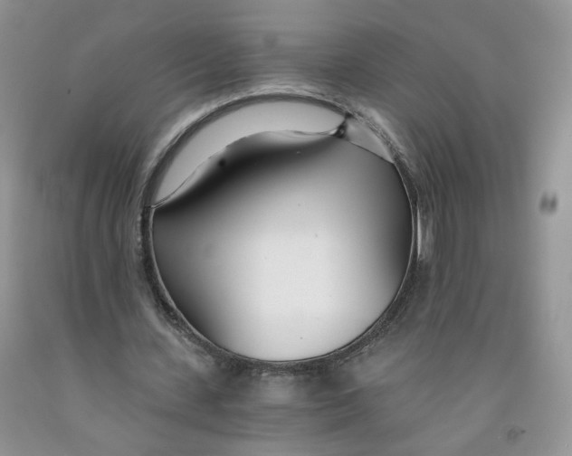 X0000091300531200709071055