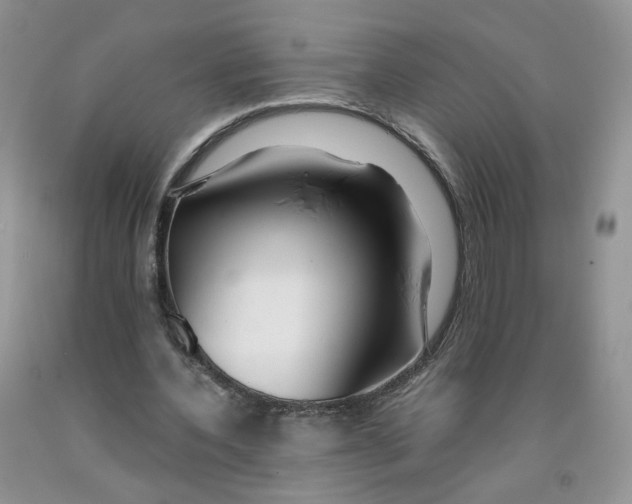 X0000091300532200709071055