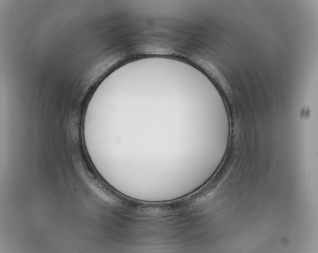 X0000091300533200709071055