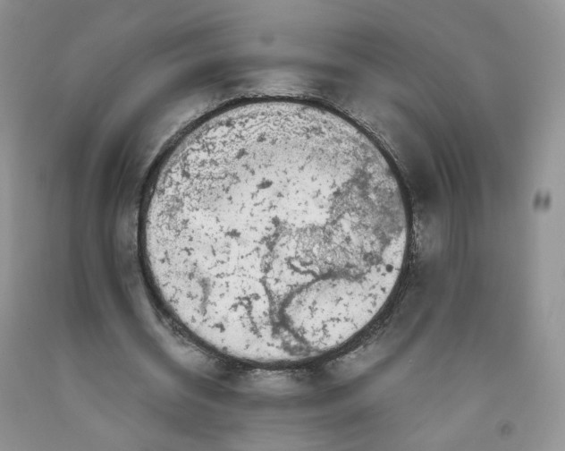 X0000091300534200709071055