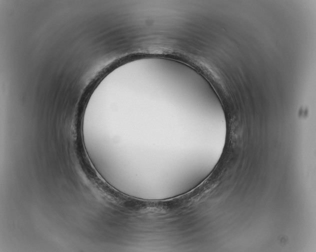 X0000091300536200709071055