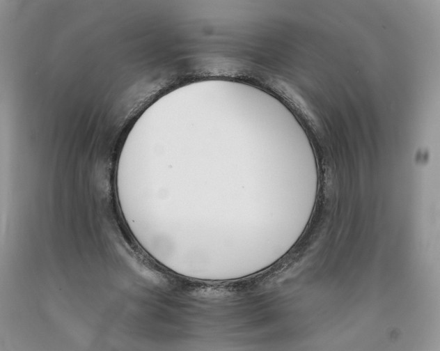 X0000091300537200709071055