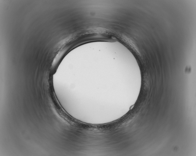 X0000091300538200709071055