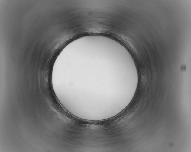 X0000091300539200709071055