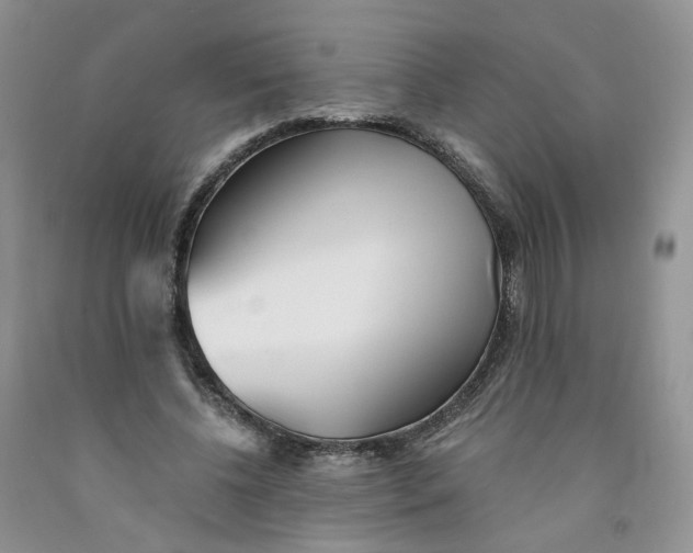 X0000091300540200709071055