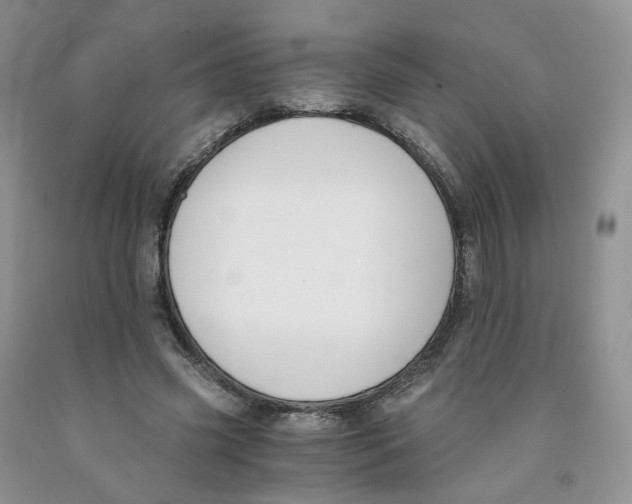 X0000091300541200709071055