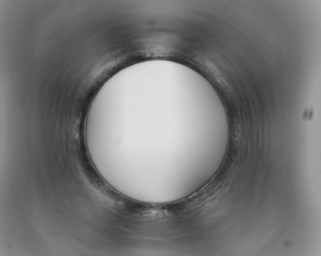 X0000091300543200709071055