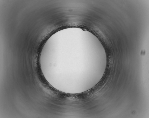 X0000091300544200709071055