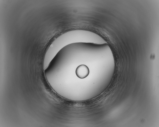 X0000091300546200709071055