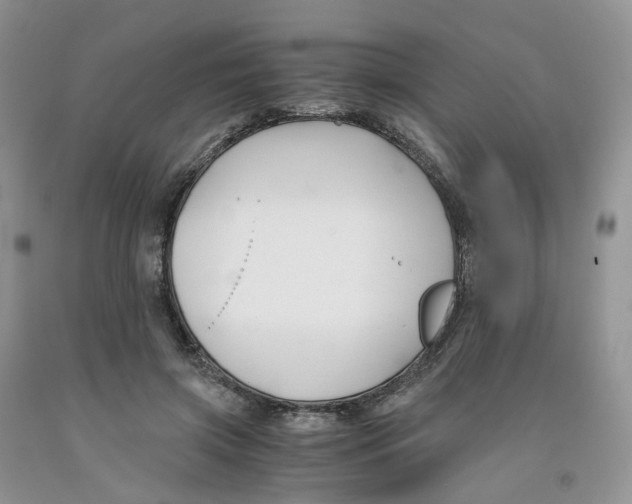 X0000091300549200709071055