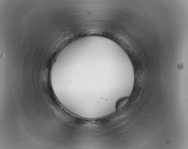 X0000091300550200709071055